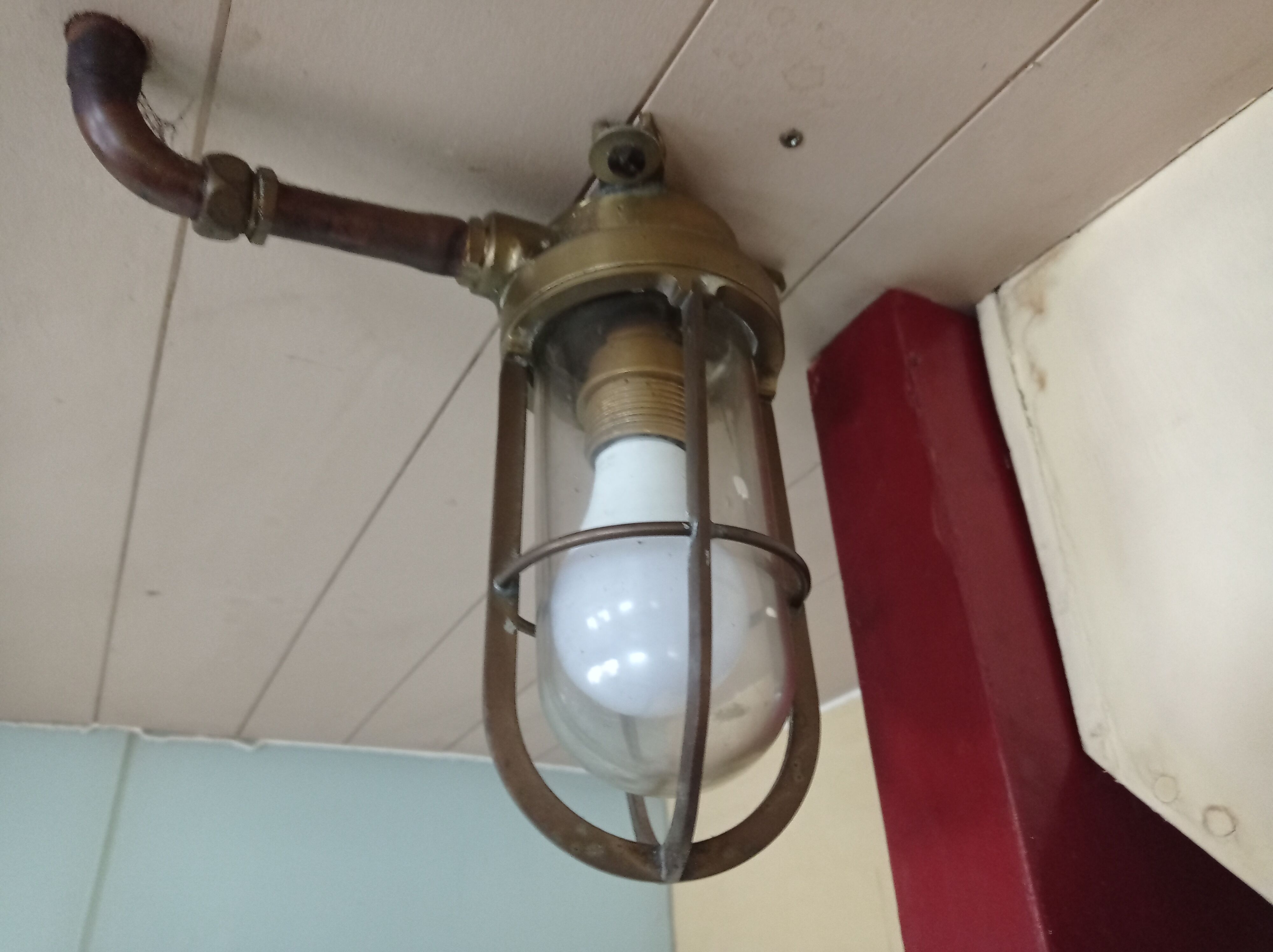 Set of 4 glass shell globes