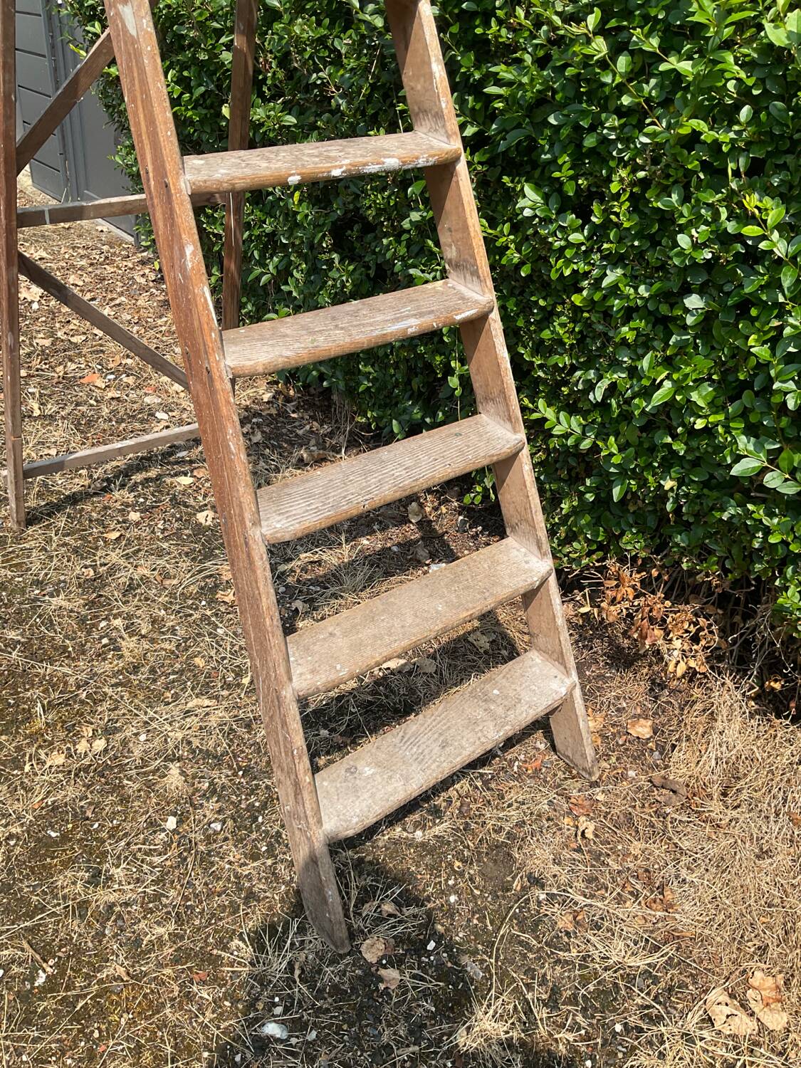 Ancien Escabeau de peintre en chêne