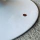 Eero Saarinen coffee table, oval, "Tulip" by Knoll International, circa 70's