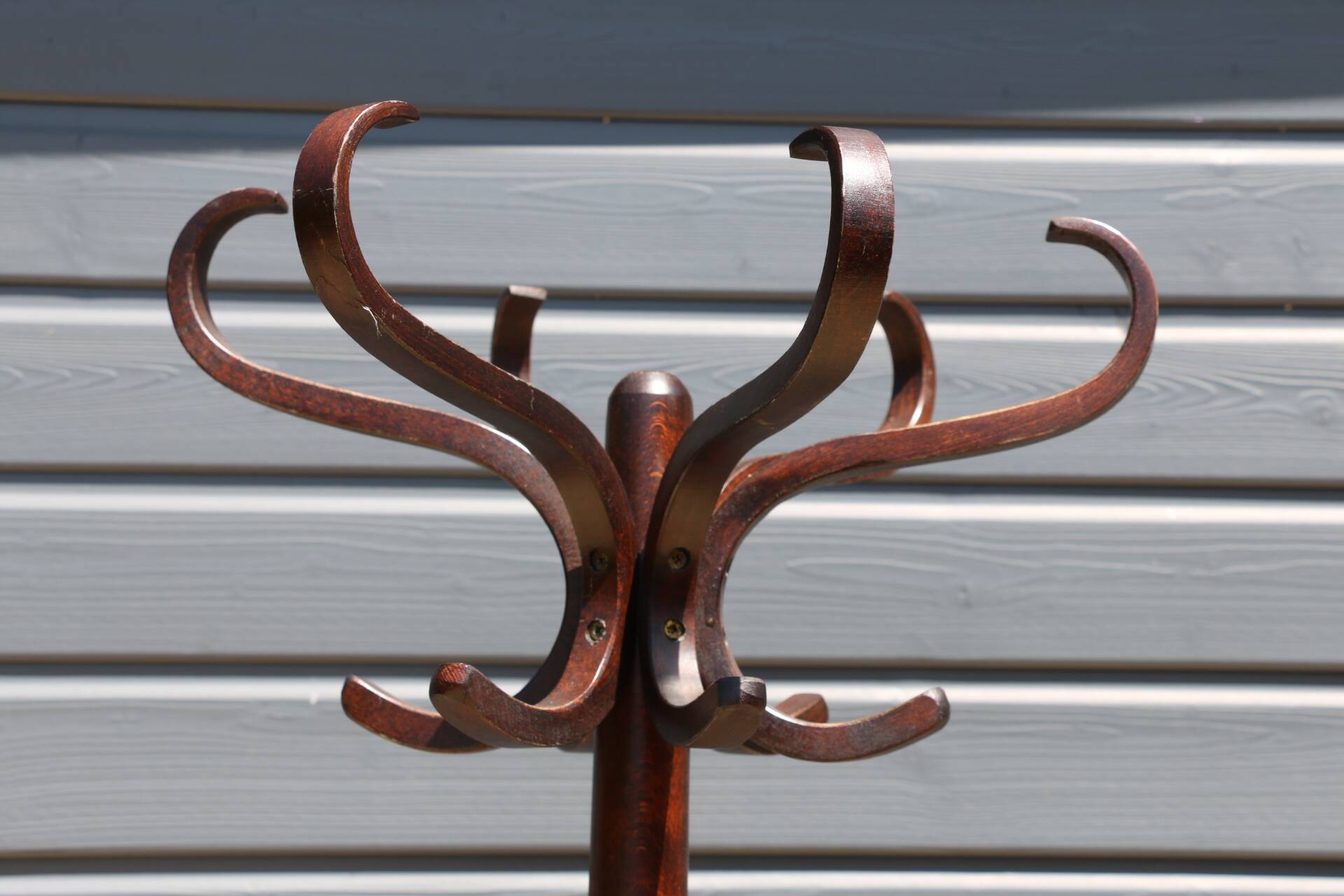 BAUMANN parrot coat rack dark beech umbrella stand