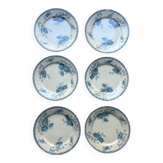 Royat Sarreguemines model flat plates