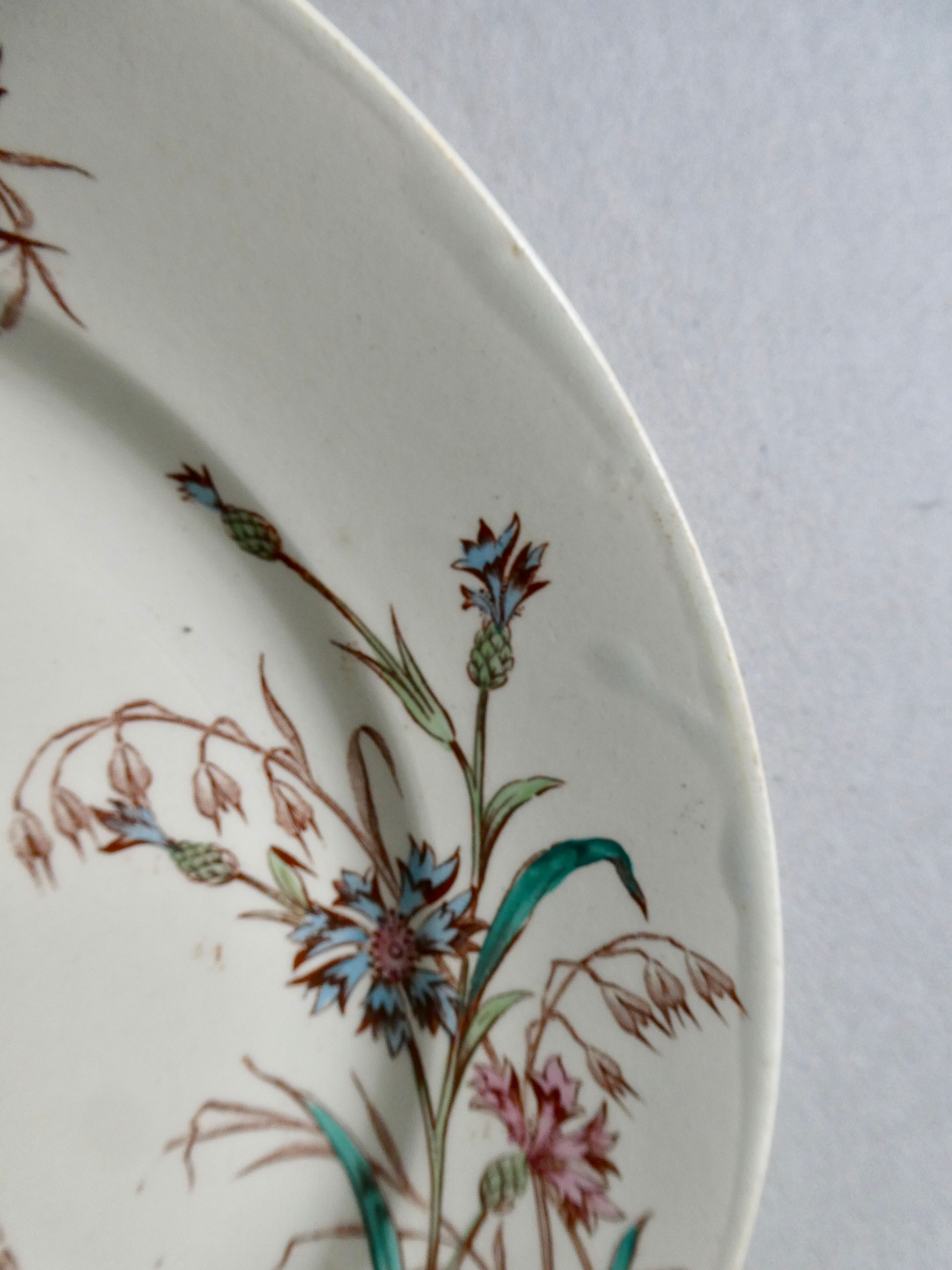 Set de 6 assiettes plates Luneville, décor bleuet, 1900