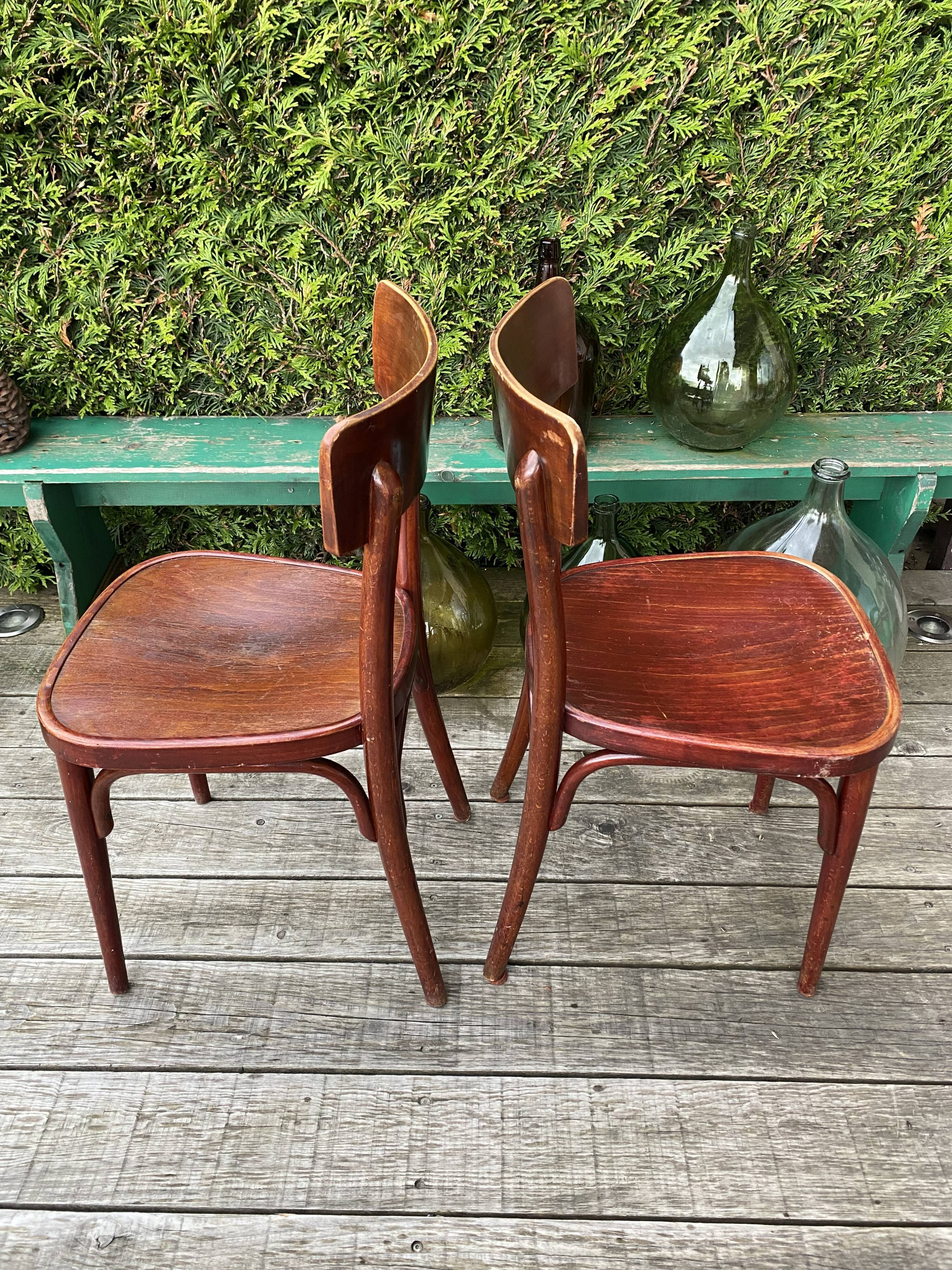 Thonet bistro chairs