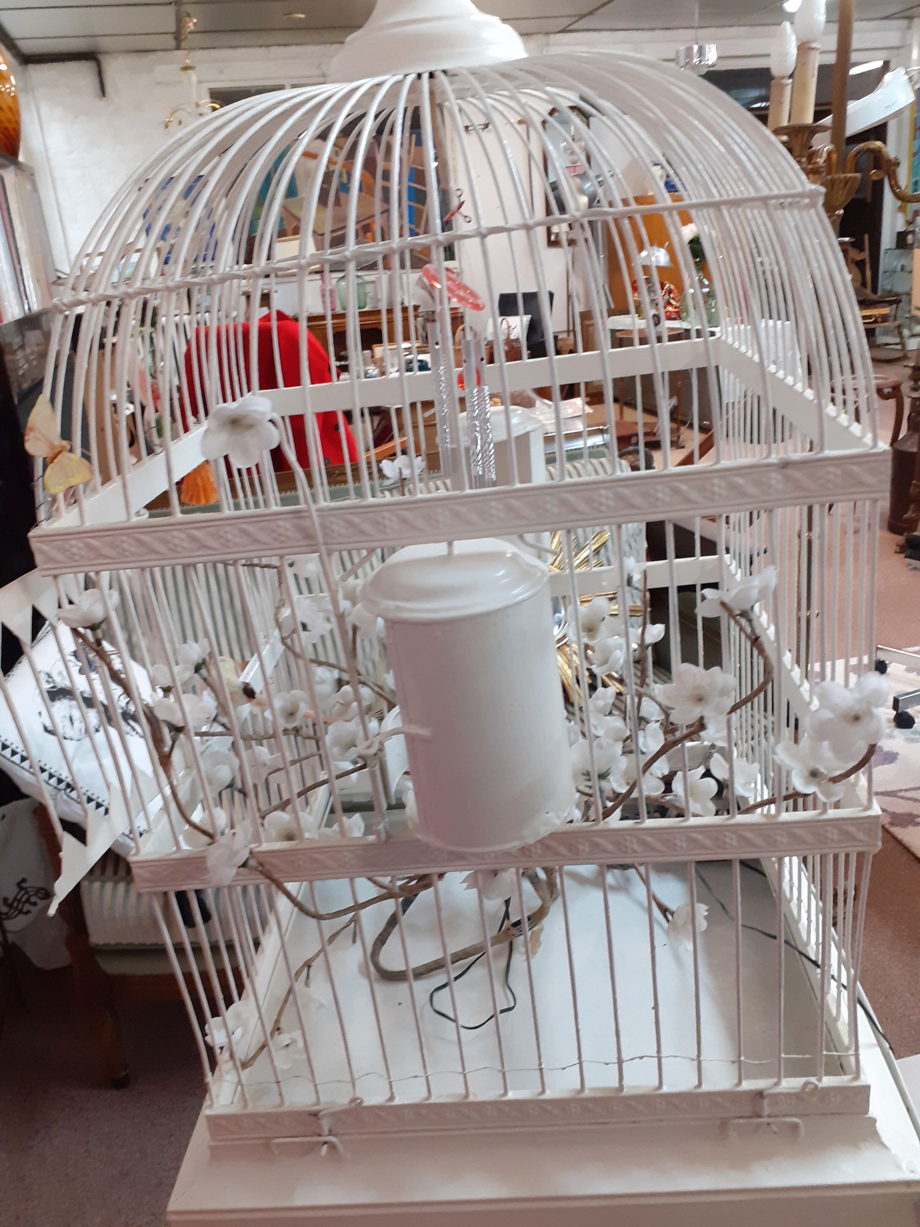 Cage a bird debut XXeme metal on foot