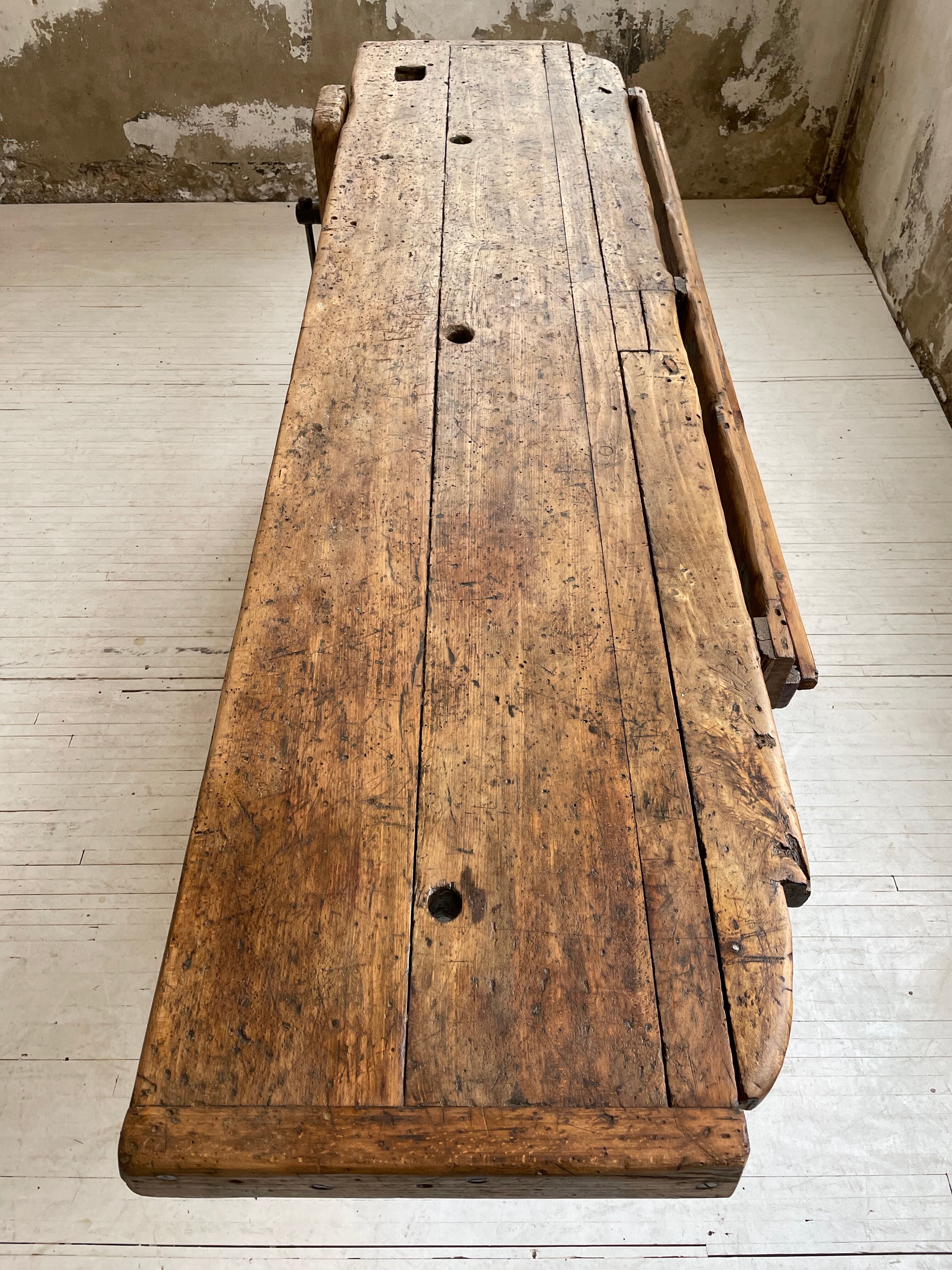 Established old oak XL