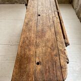 Established old oak XL