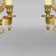 Pair of Gilded Bronze Wall Lights, Directoire Style, Two Lights