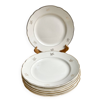 Villeroy & Boch dinner plates 1950