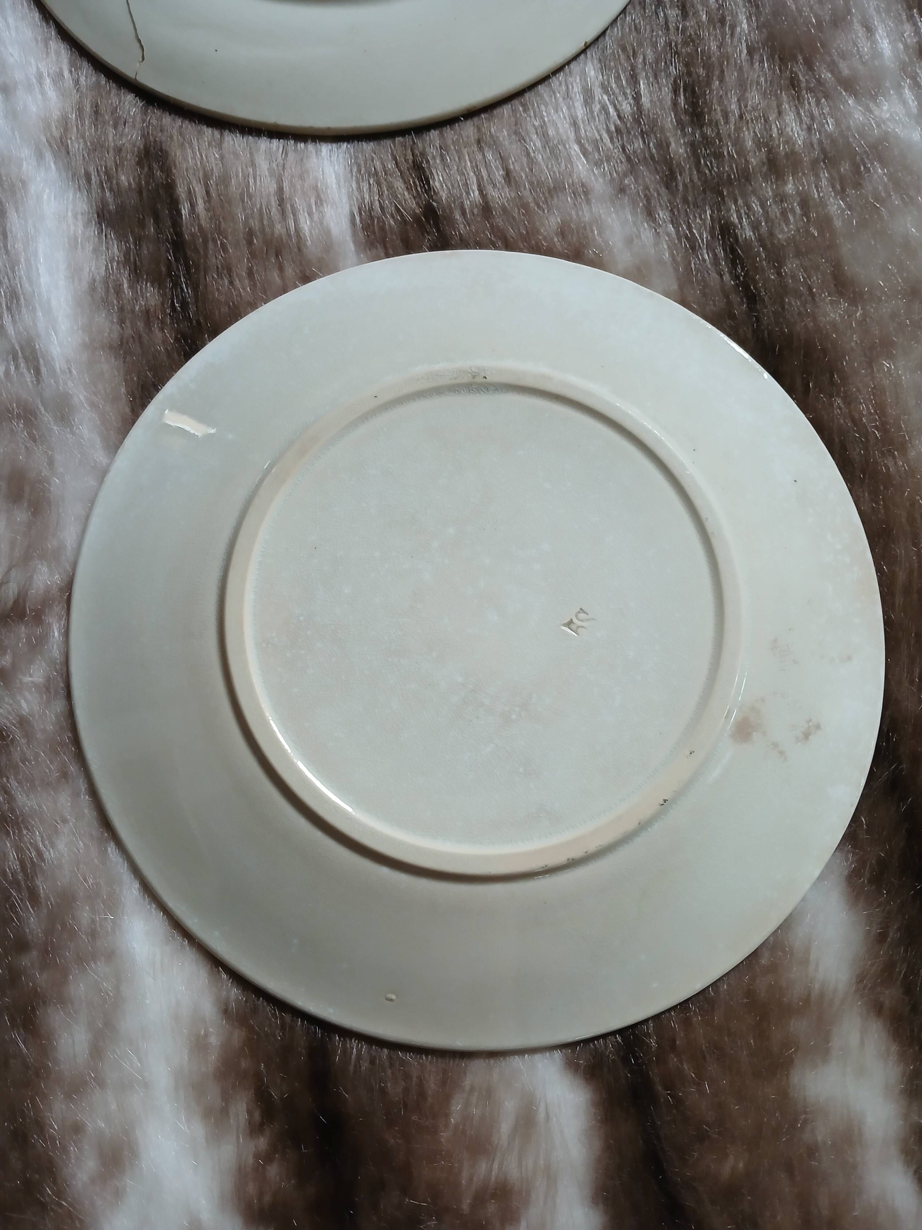 10 antique flat plates in ironstone