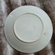10 antique flat plates in ironstone
