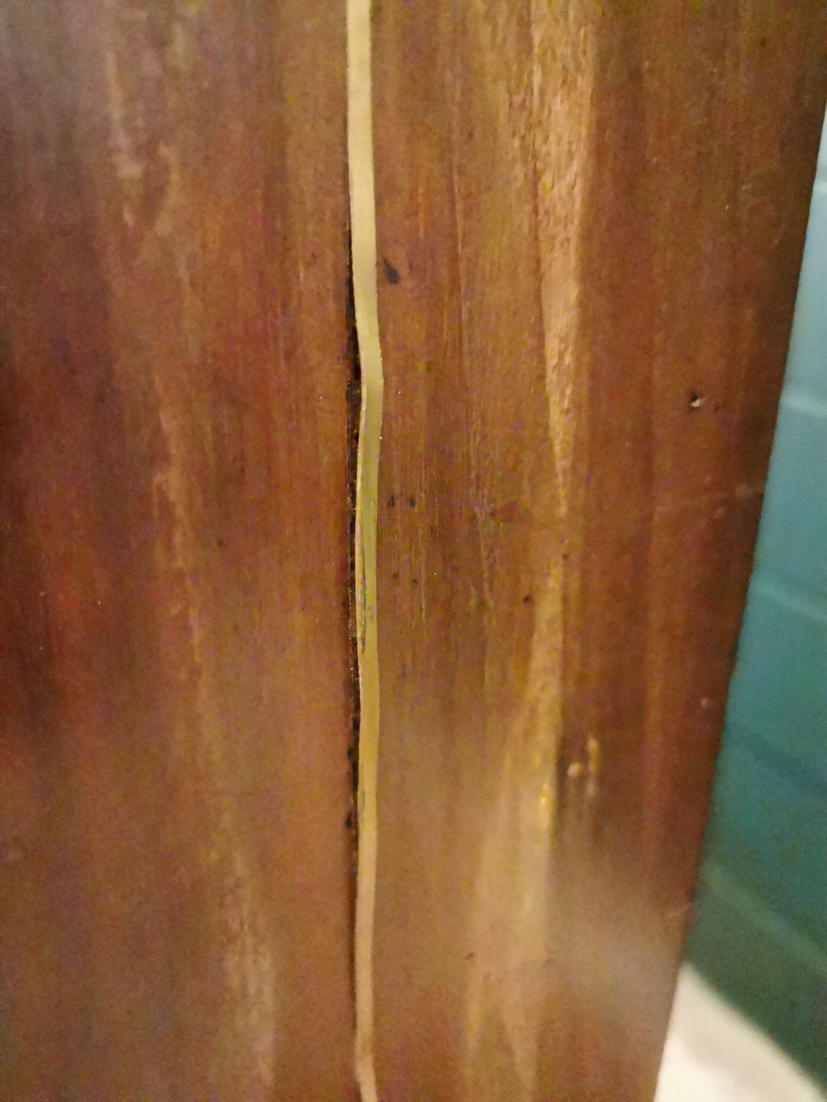 Chest of drawers back from Egypt