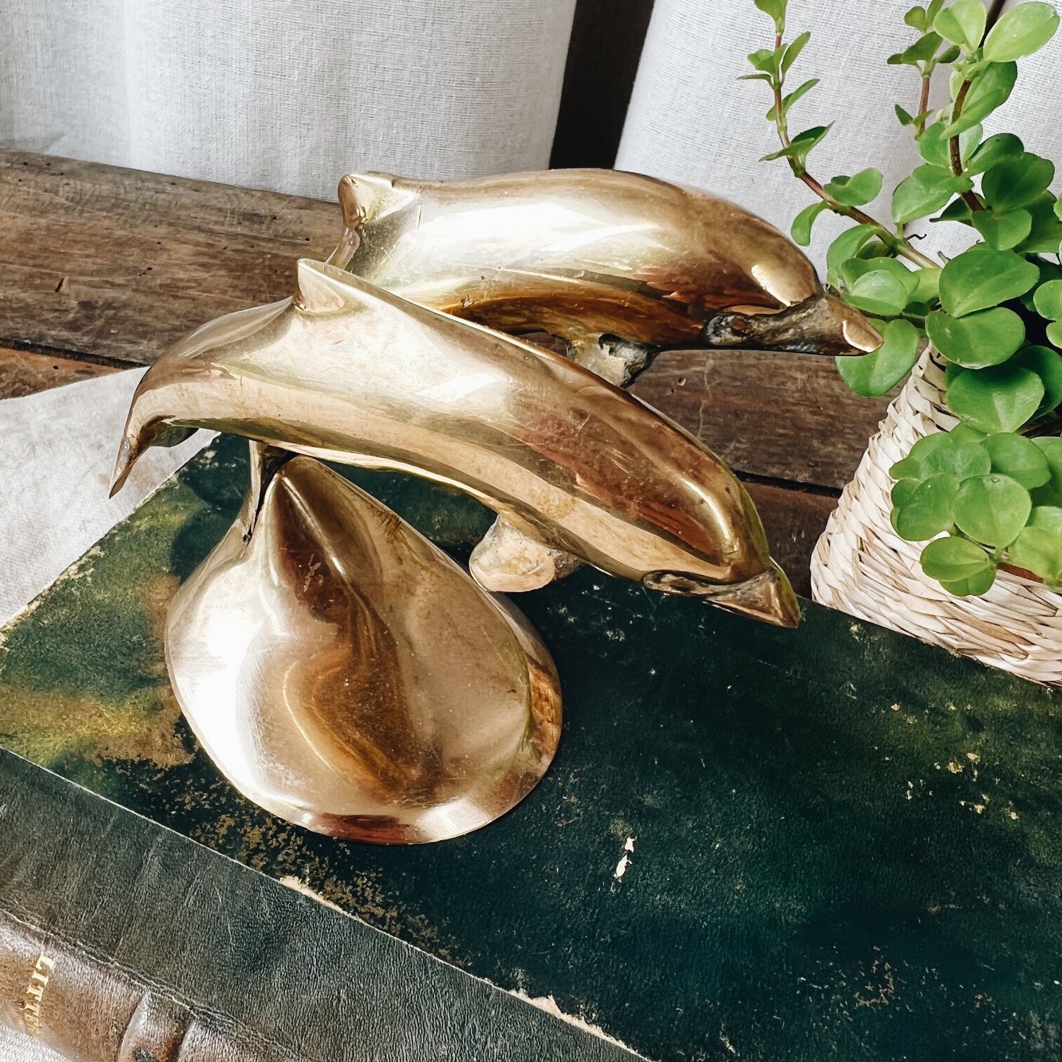 Duo of brass dolphins