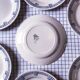 10 flat plates GIEN model Lorris