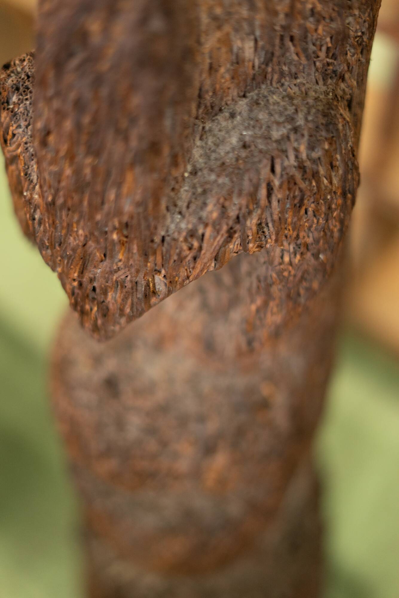 Tree fern totem statue