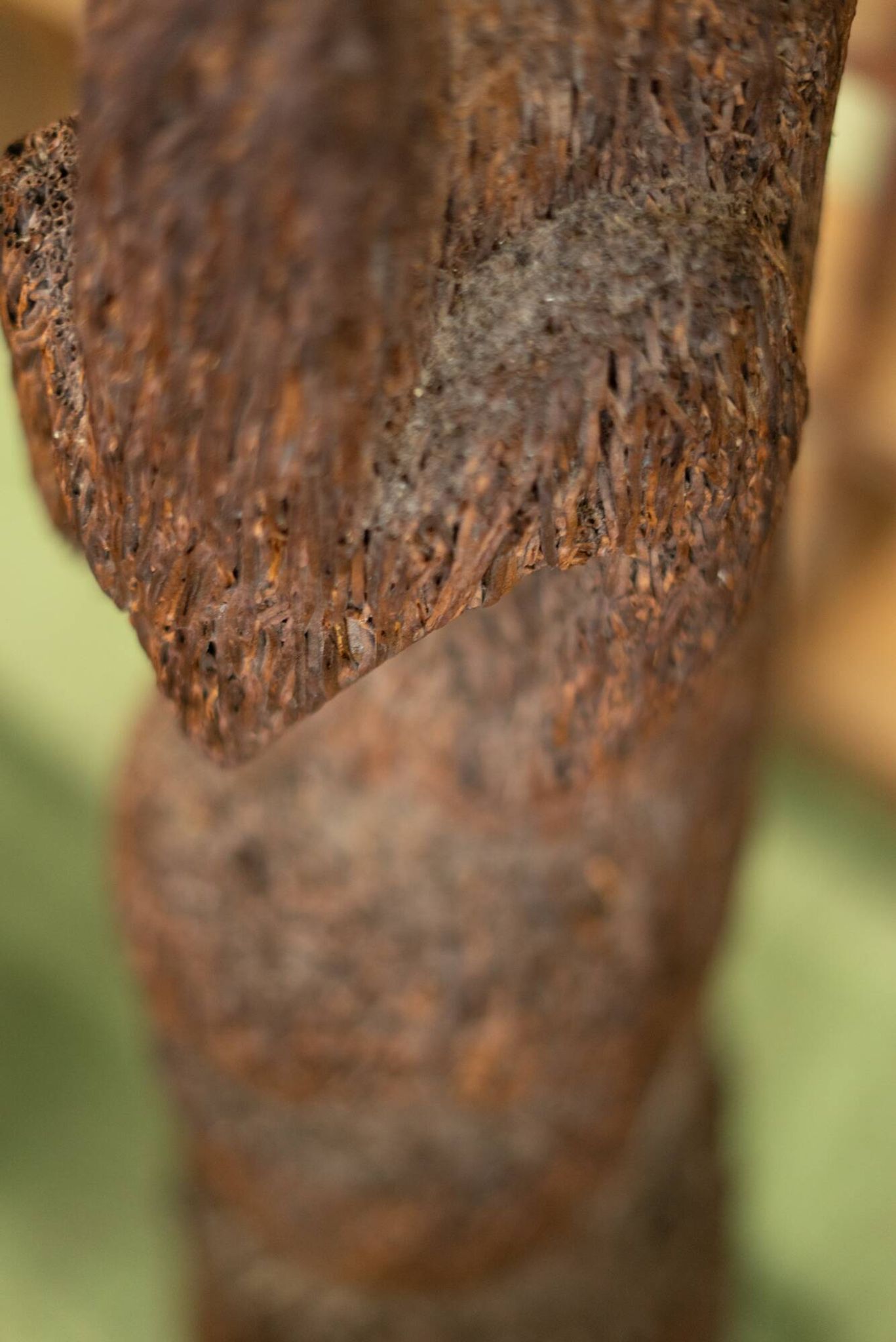 Tree fern totem statue