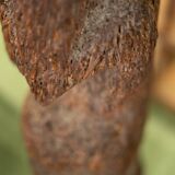 Tree fern totem statue