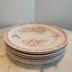 Lot de 6 assiettes Terre de Fer Onnaing Moisson