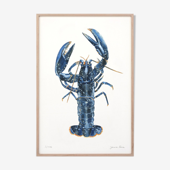 "Lucie" le homard bleu, tirage d'art 20/30cm