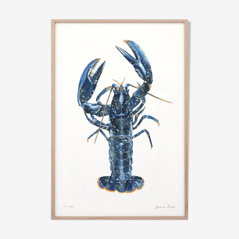 "Lucie" the blue lobster, art print 20/30cm