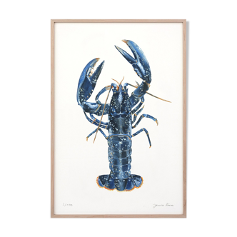 "Lucie" the blue lobster, art print 20/30cm