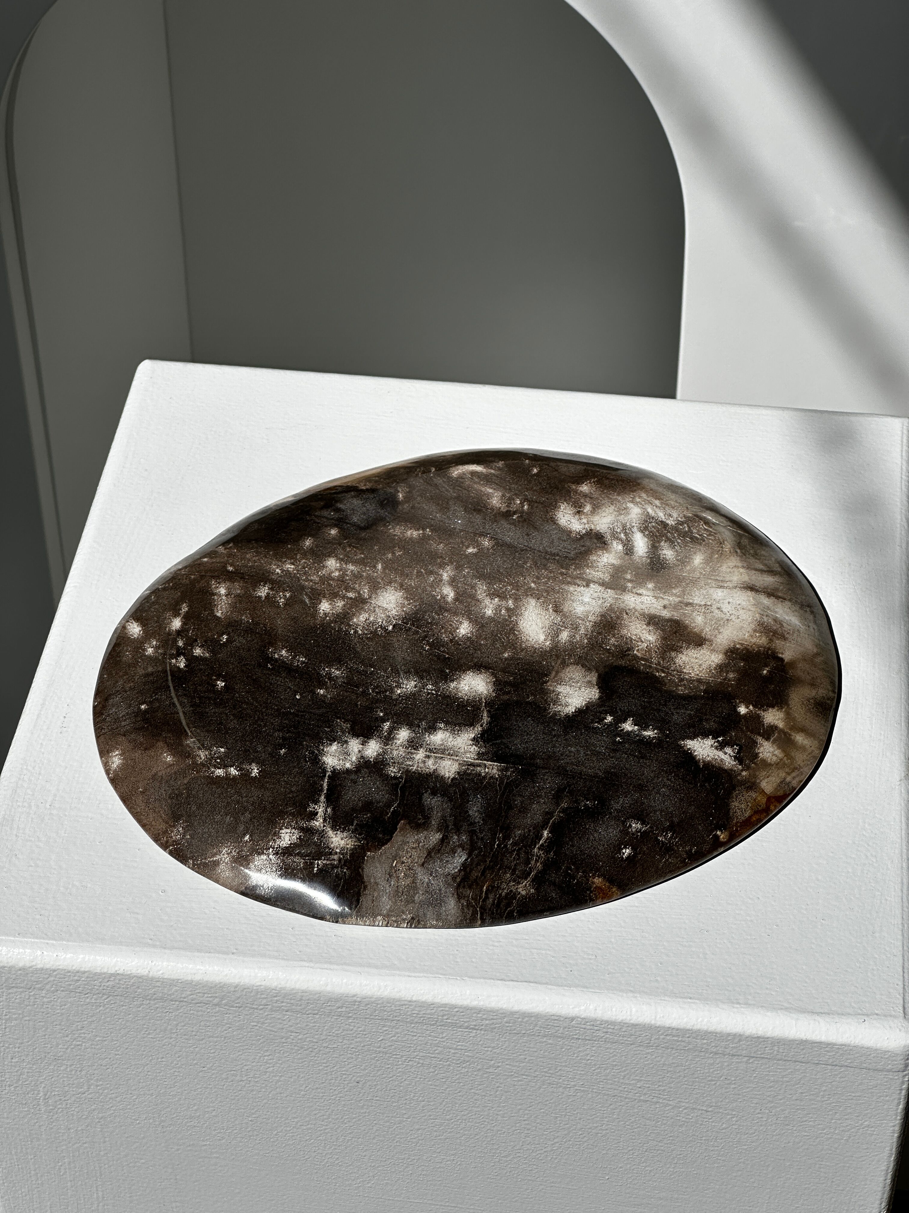 Dish in petrified wood
