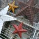 Star amish 30 cm