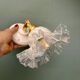 Vintage tulip glass wall light in transparent, slightly pearlescent white.