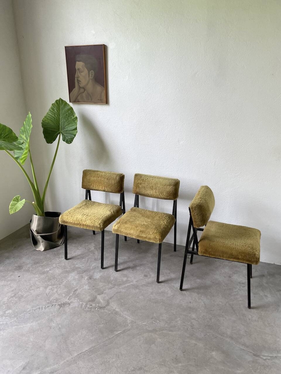 Set de trois chaises années 50