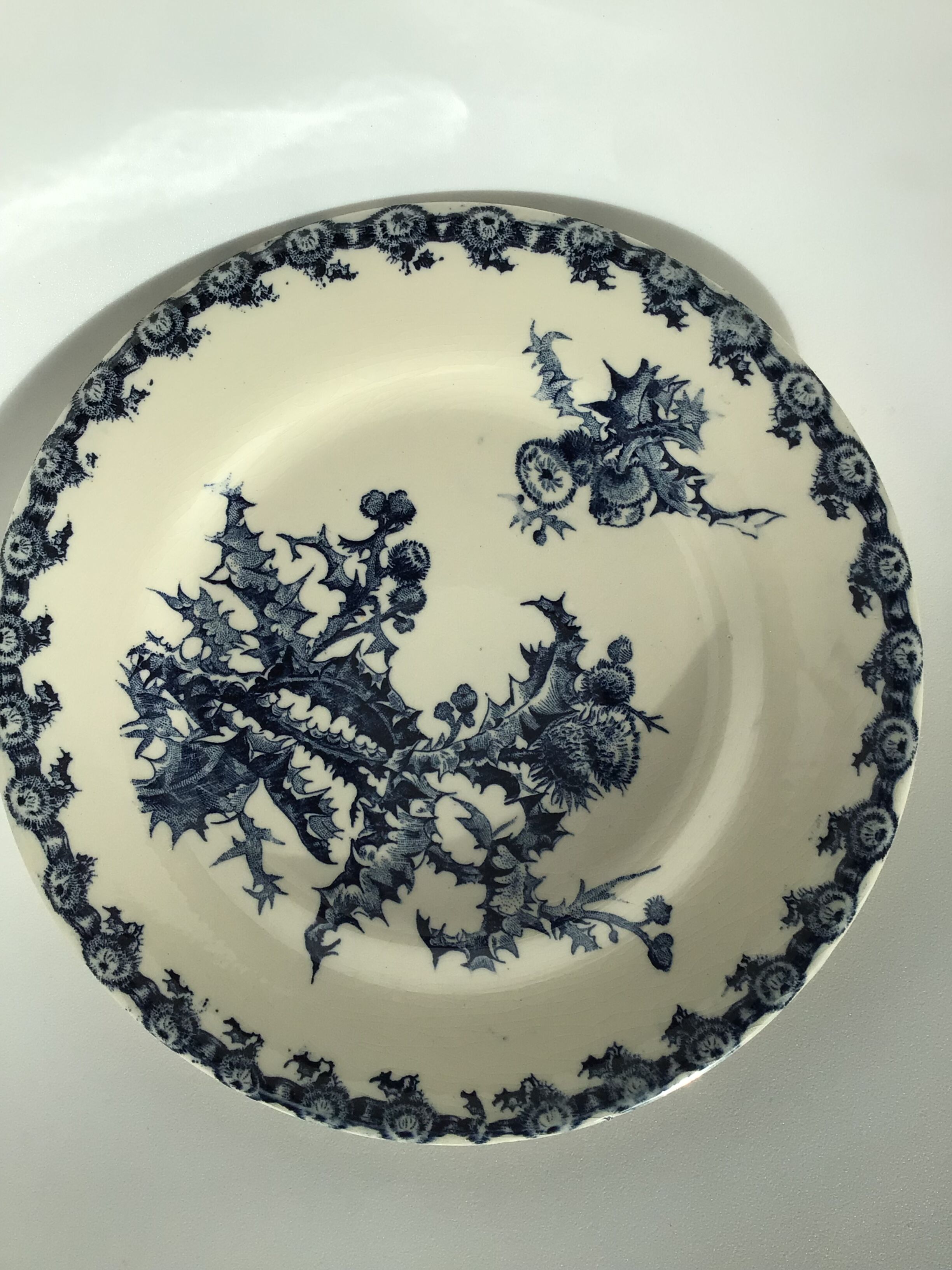2 Flat plates Gien Chardons dark blue