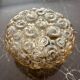 Wall light or ceiling light Helena Tynnel