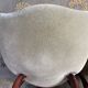 Suite de 6 chaises Louis Philippe en acajou