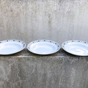 Lot of plates Saint Amand iron land