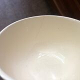 Bowl in dabbling