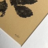 Framed lithograph - extract from the notebook "Les Natugraphies" - Albert de Visscher