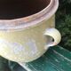Old ceramic pot