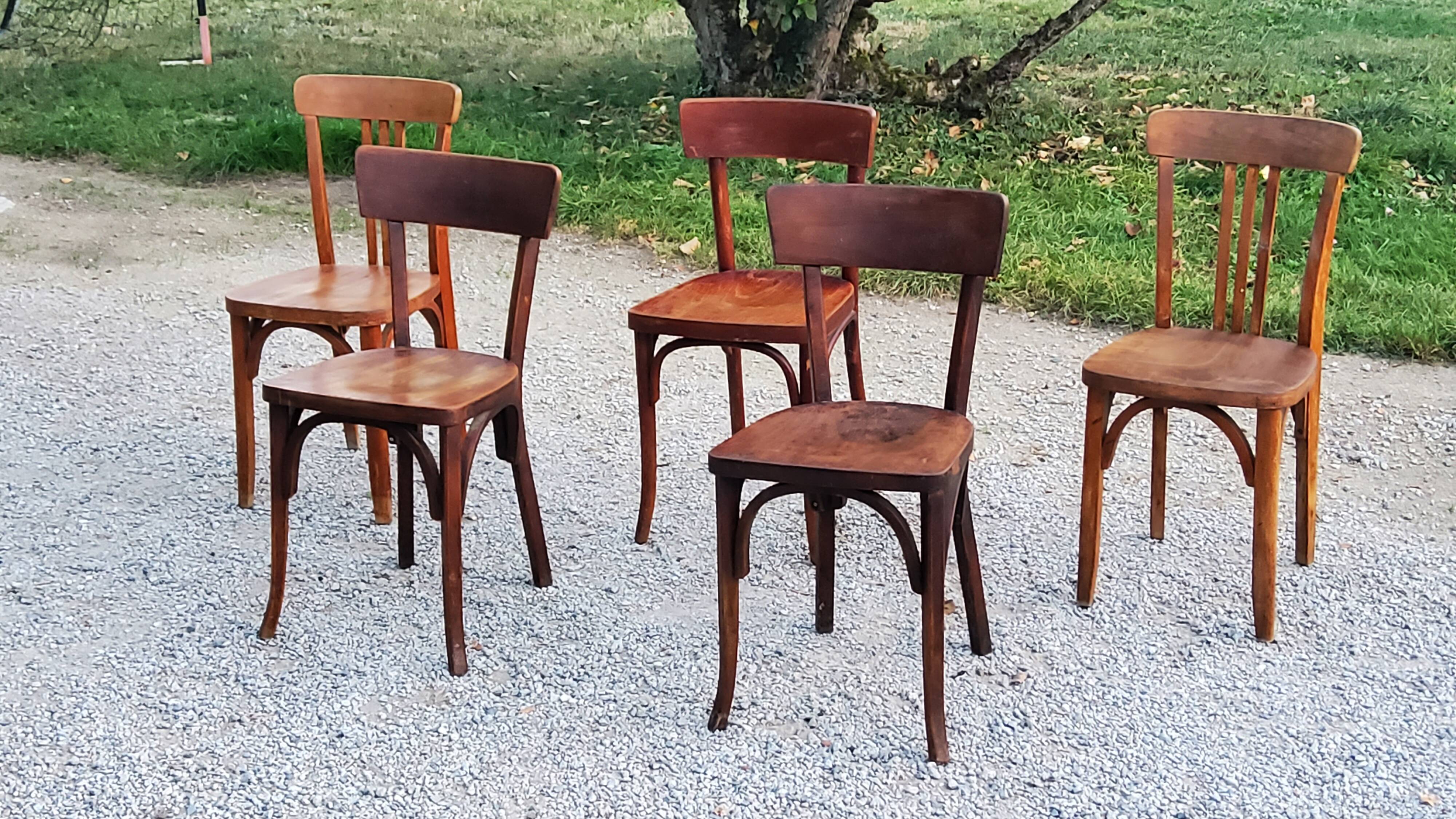 Set of 5 Stella Thonet bistro chairs from the 1950s