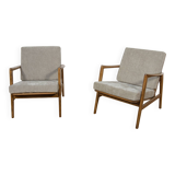 Mid-Century Model 300-139 Armchairs from Swarzędzka Factory, Poland, 1960s.