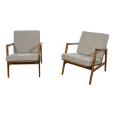 Mid-Century Model 300-139 Armchairs from Swarzędzka Factory, Poland, 1960s.