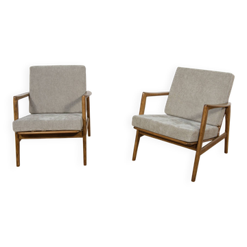 Mid-Century Model 300-139 Armchairs from Swarzędzka Factory, Poland, 1960s.