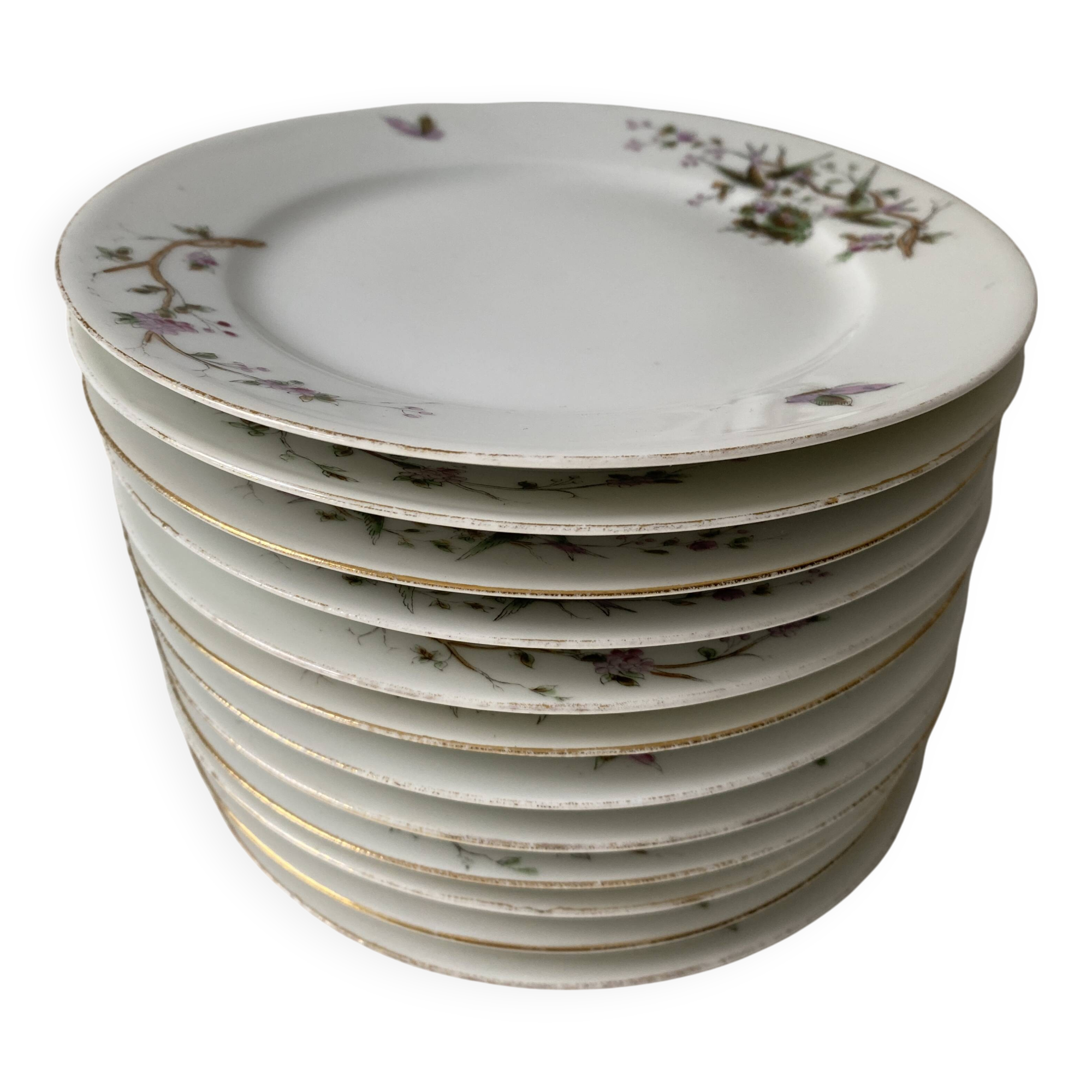 12 vintage porcelain dessert plates signed hache, julien & cie birds