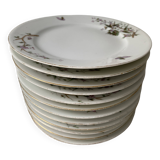 12 vintage porcelain dessert plates signed hache, julien & cie birds