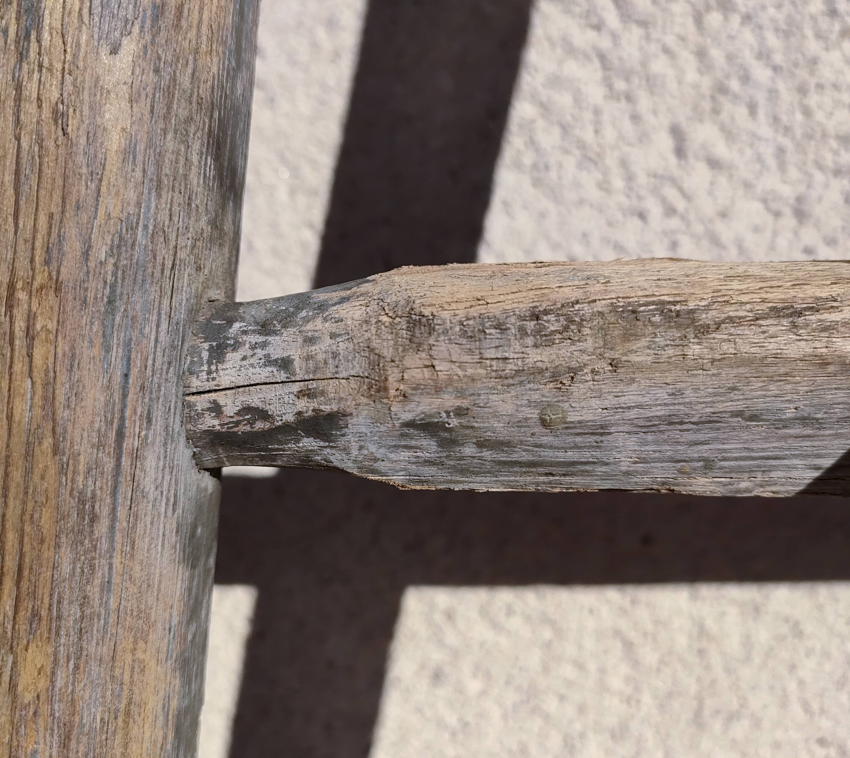 Two weathered wooden ladders H.135 cm