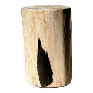 Table d'appoint en bois pétrifié