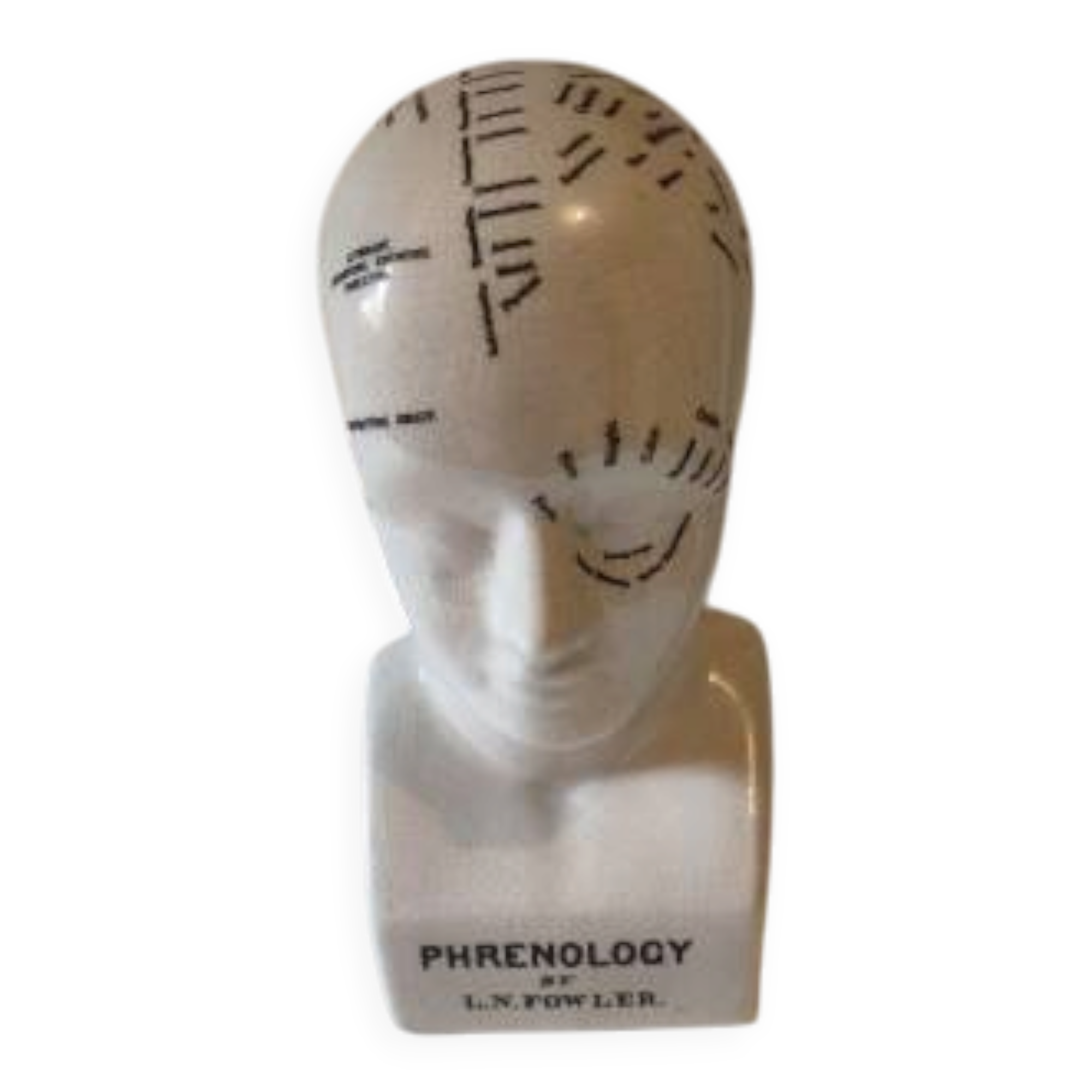 Cracked earthenware phrenology bust by Fowler