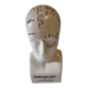 Cracked earthenware phrenology bust by Fowler