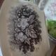 Salad bowl Sarreguemines old