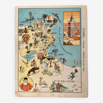 Affiche ancienne carte de Tunisie faune produits du sol 1931
