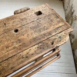 Established old oak XL