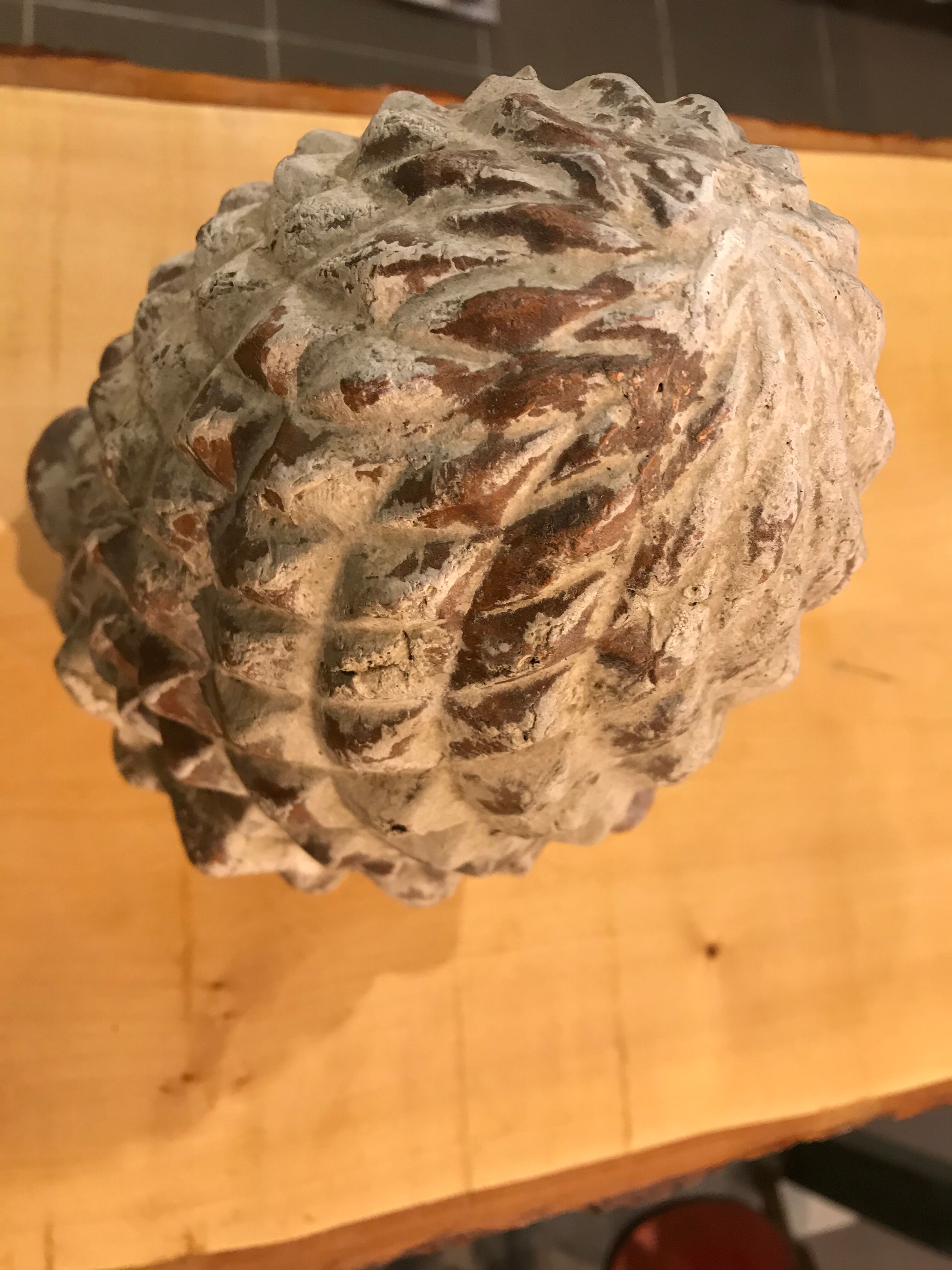 Cooked pine cone