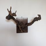 Old vine hook